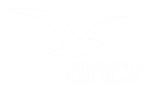 logo-ancv-blanc-300x177-5109