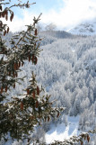 Hôtel Le Chamois -Molines en Queyras