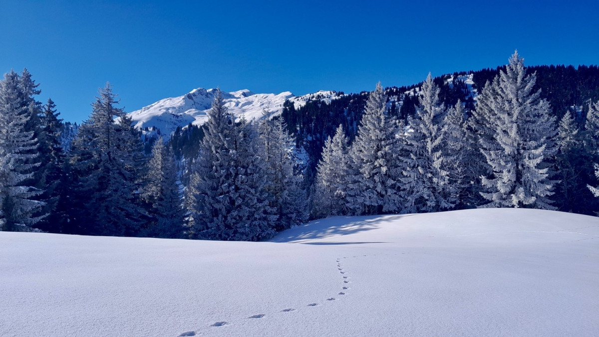 Le vallon mystères_Ceillac