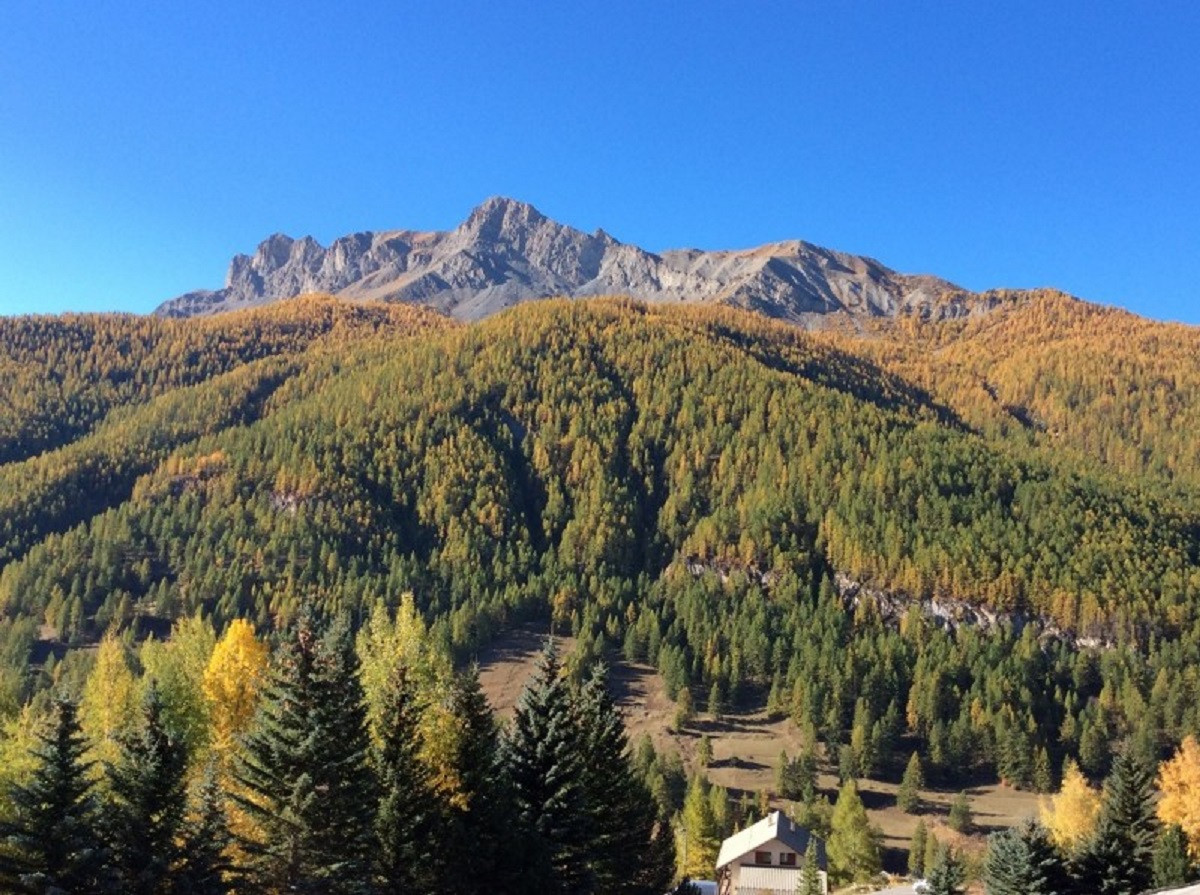 Appartement 4 personnes - La Cardabelle Appartement 4 personnes - La Cardabelle