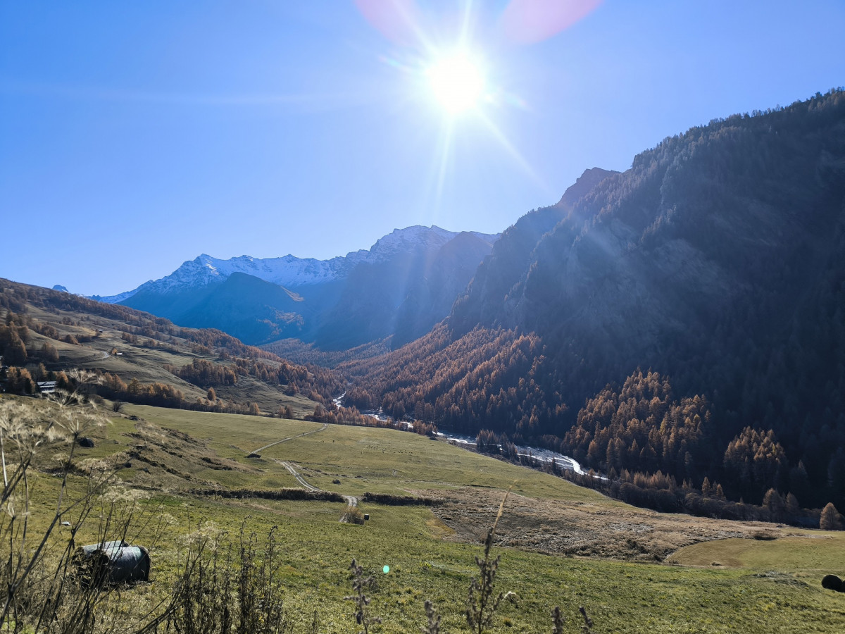 Gite en gestion libre