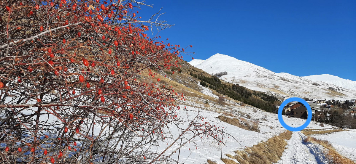 Studio 2 personnes - Le Marmotton_Molines-en-Queyras