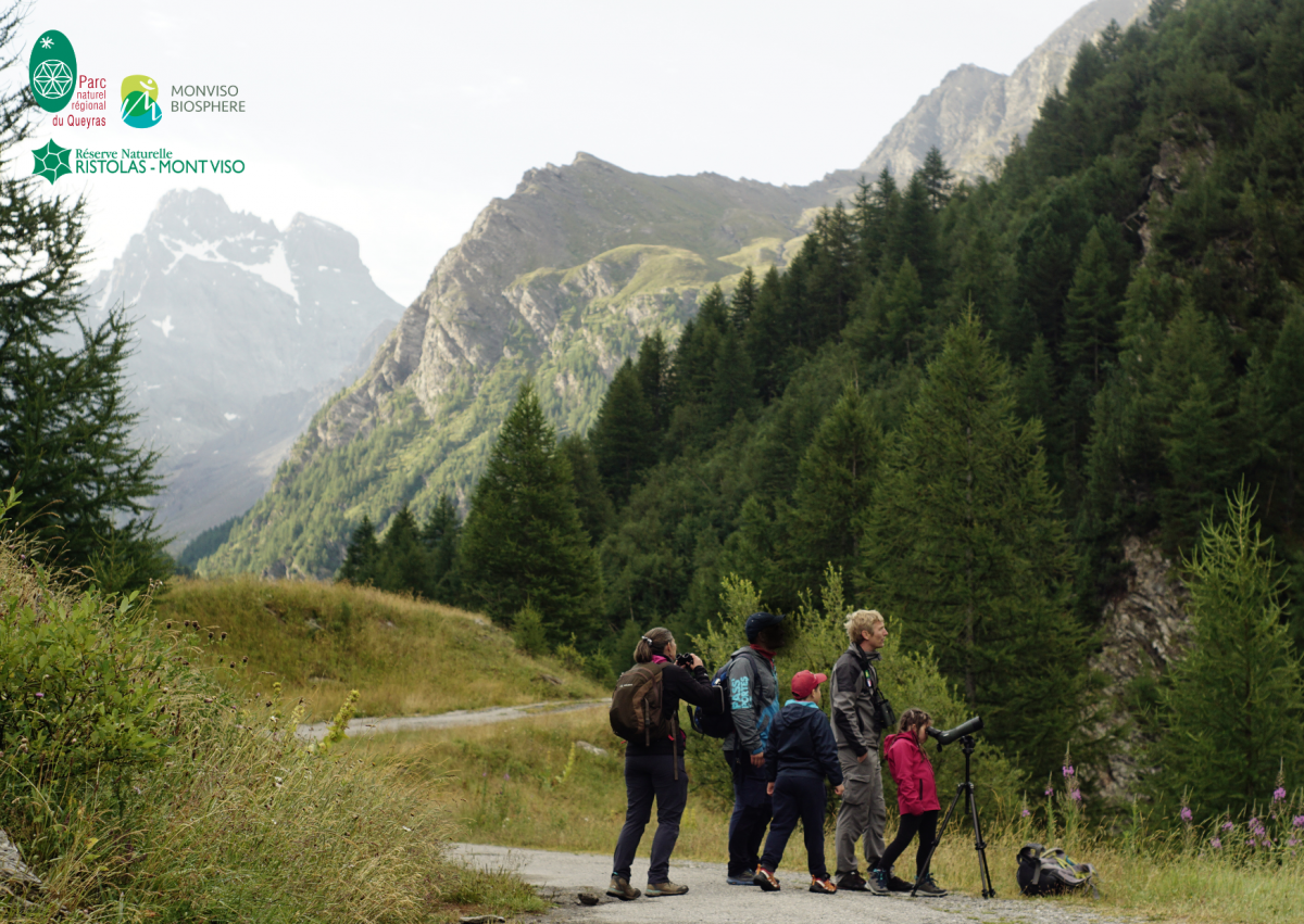 Observation à la longue-vue avec un garde de la RNN