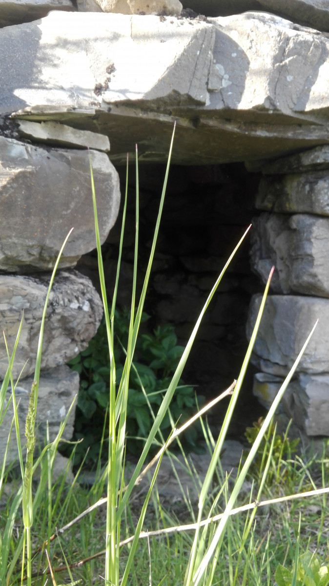 Les petits explorateurs et les terrasses d'Hercule_Réallon