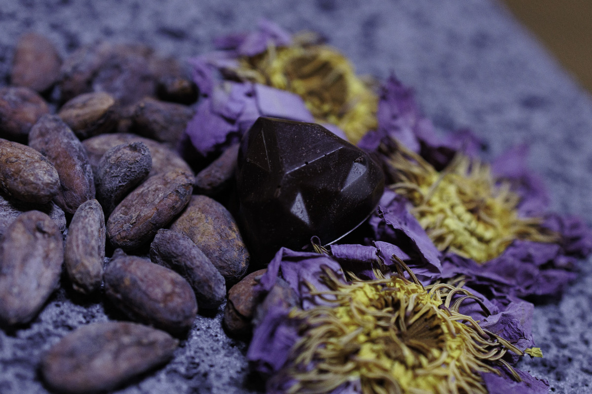 Atelier de découverte du cacao et création chocolatée._Eygliers