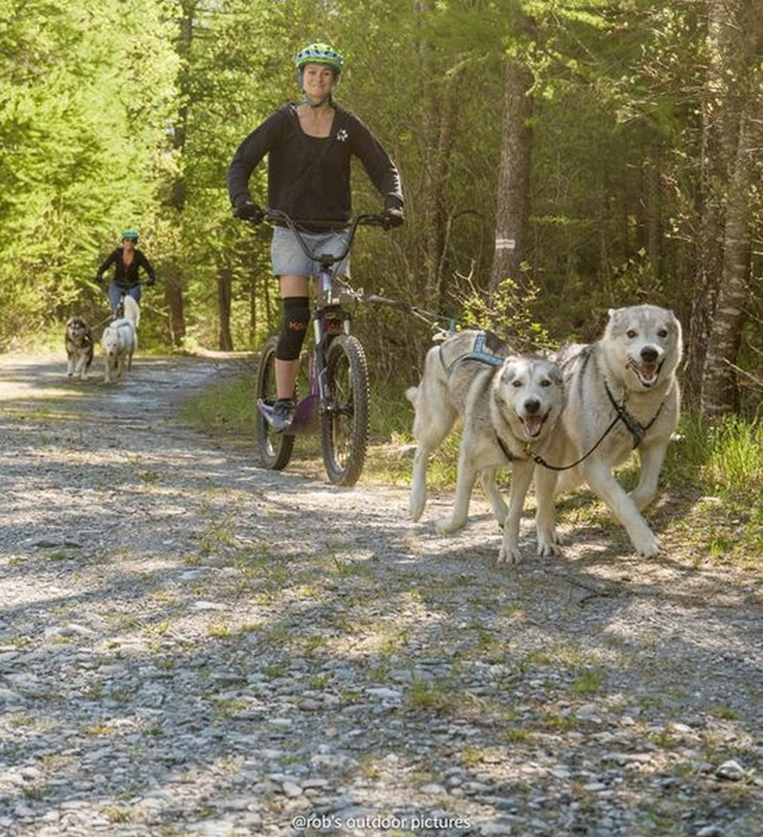 Des sensations en cani-trottinette Des sensations en cani-trottinette