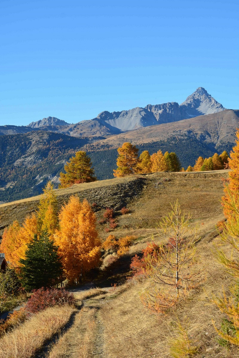 vue automne