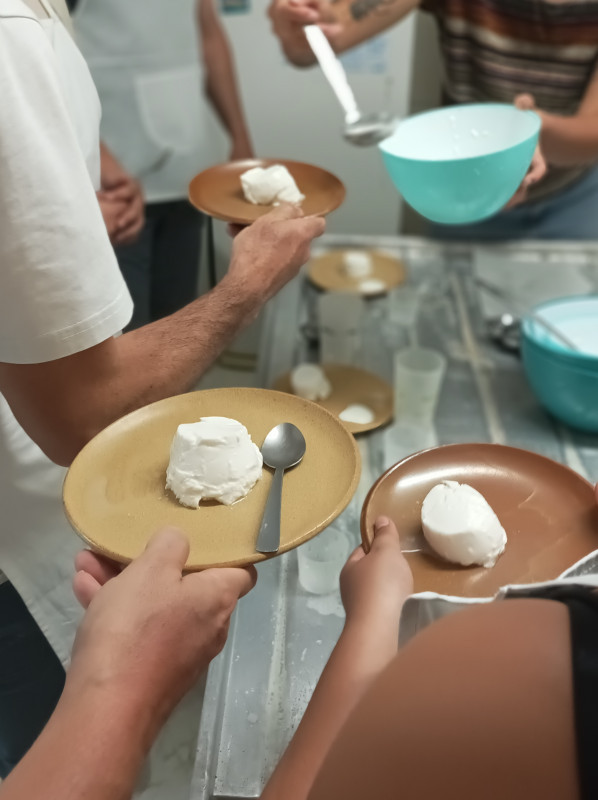 apprenti fromager