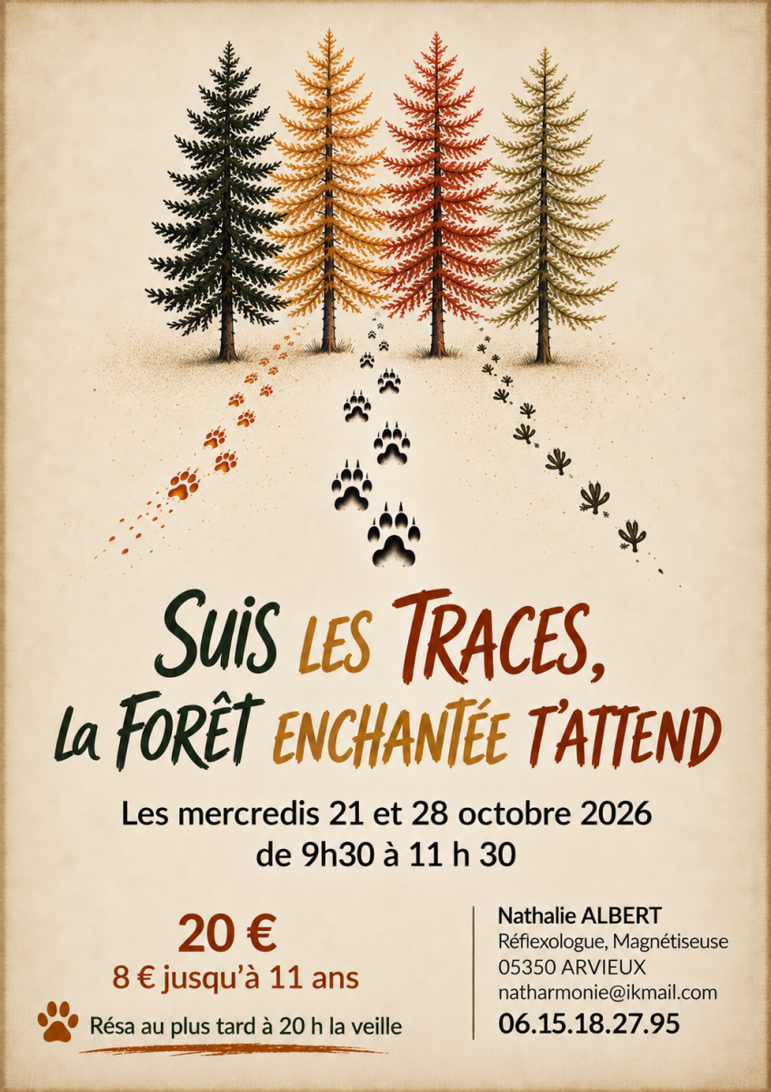 fore-t-enchante-e-681200 fore-t-enchante-e-681200