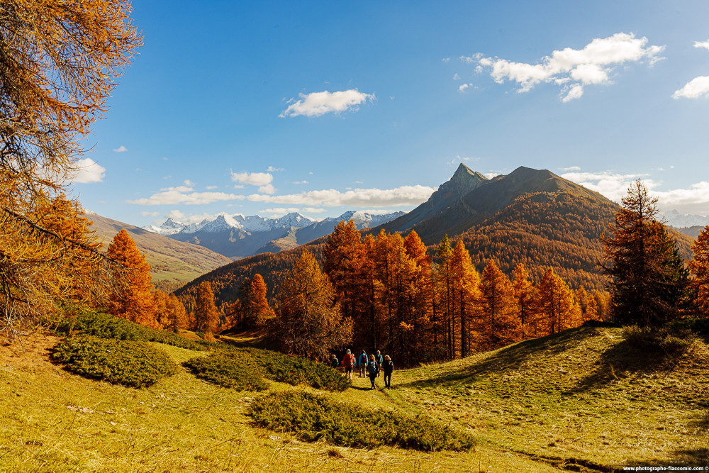 Lumières et couleurs d'automne