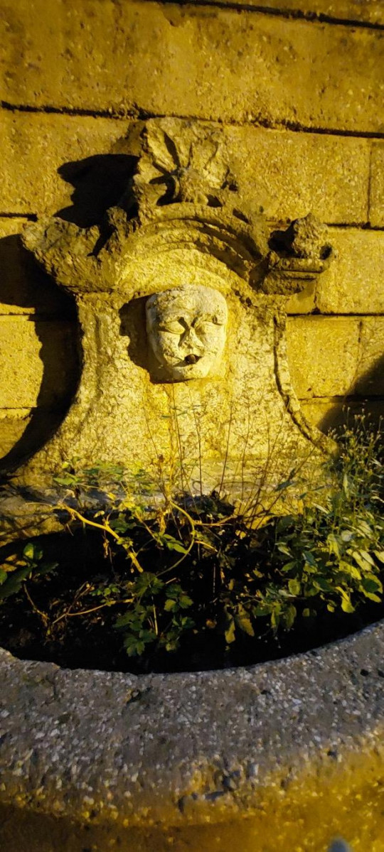 Montdauphin une commune au coeur...by night