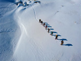 Vivre dans la nature...en montagne hivernale_Aiguilles