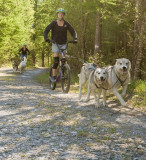 Des sensations en cani-trottinette