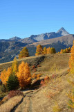 vue automne