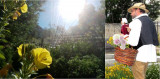 image-2-392519