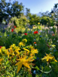 image0000041-392518