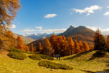 Lumières et couleurs d'automne
