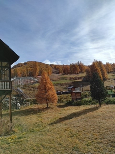 Appartement 5 personnes - Chalet les 4 s