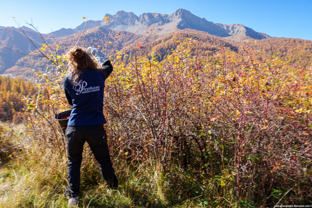 39673011-586247 39673011-586247