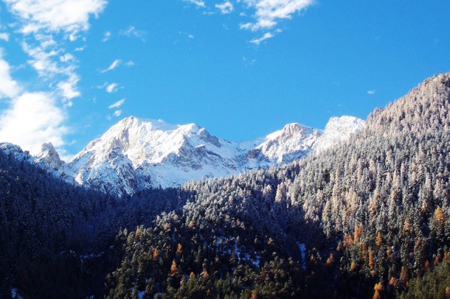 Appartement 6 personnes - Le Tétras Appartement 6 personnes - Le Tétras