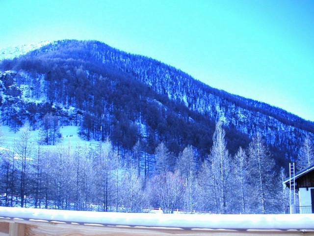 Appartement 4 personnes