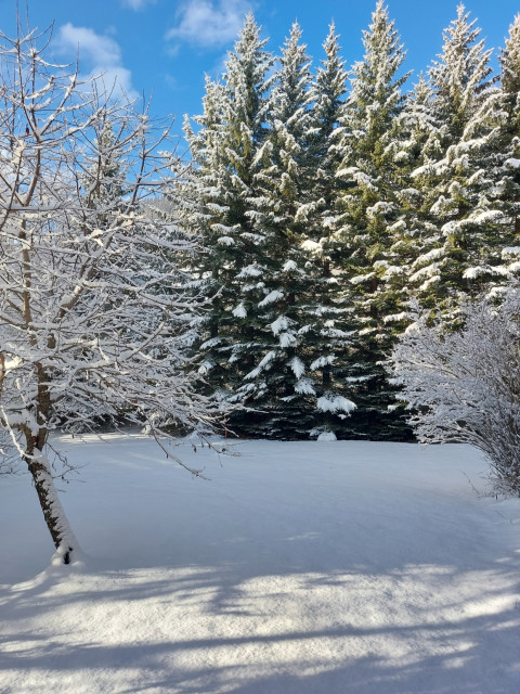 Appartement 4 personnes- Côté Jardin_Arvieux