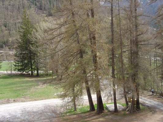 Appartement 4 personnes - Les Alpages n°12