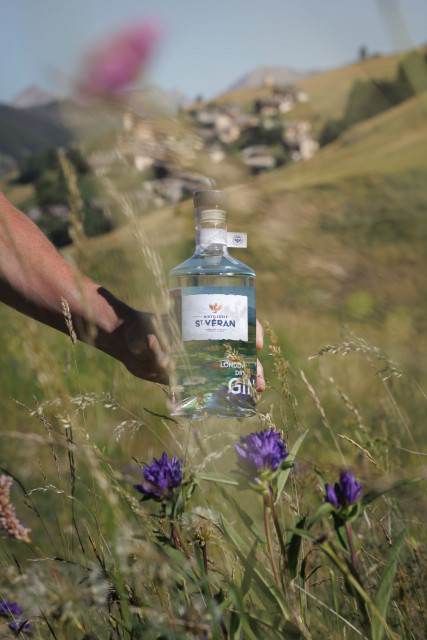 Atelier création : à la découverte du gin._Saint-Véran