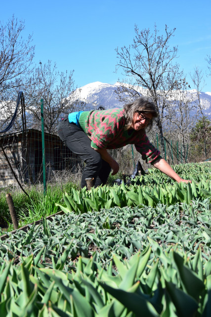 Atelier de création florale et visite du jardin_Eygliers