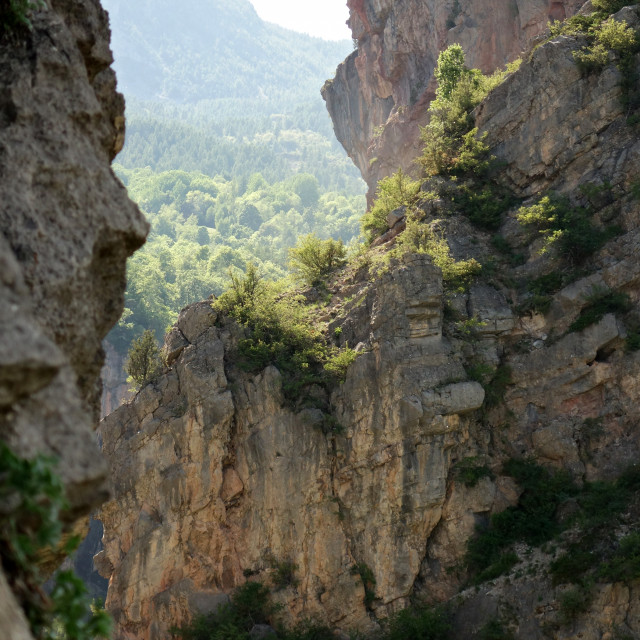Escalade découverte en falaise