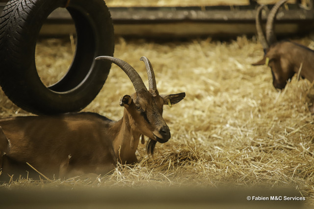 ferme des moulin Arvieux ferme des moulin Arvieux