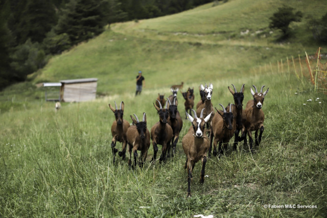 ferme des moulin Arvieux ferme des moulin Arvieux