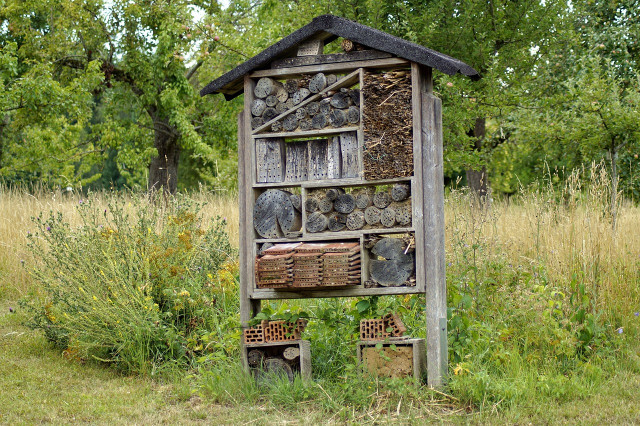 insect-hotel-3542438-1280-257815