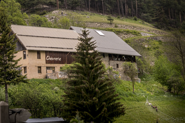 La ferme des moulins Arvieux La ferme des moulins Arvieux