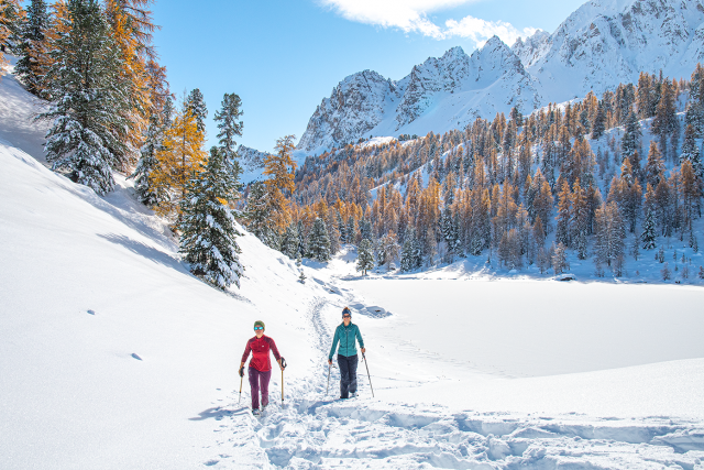 le-queyras-raquettes-c-rounds-bd-545697