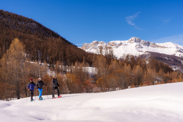 lequeyras-raquettes-redim-517511 lequeyras-raquettes-redim-517511