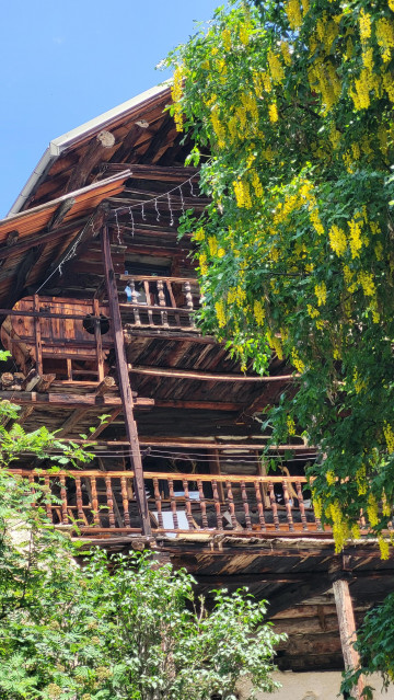 Les p'tits explorateurs et les maisons fustes